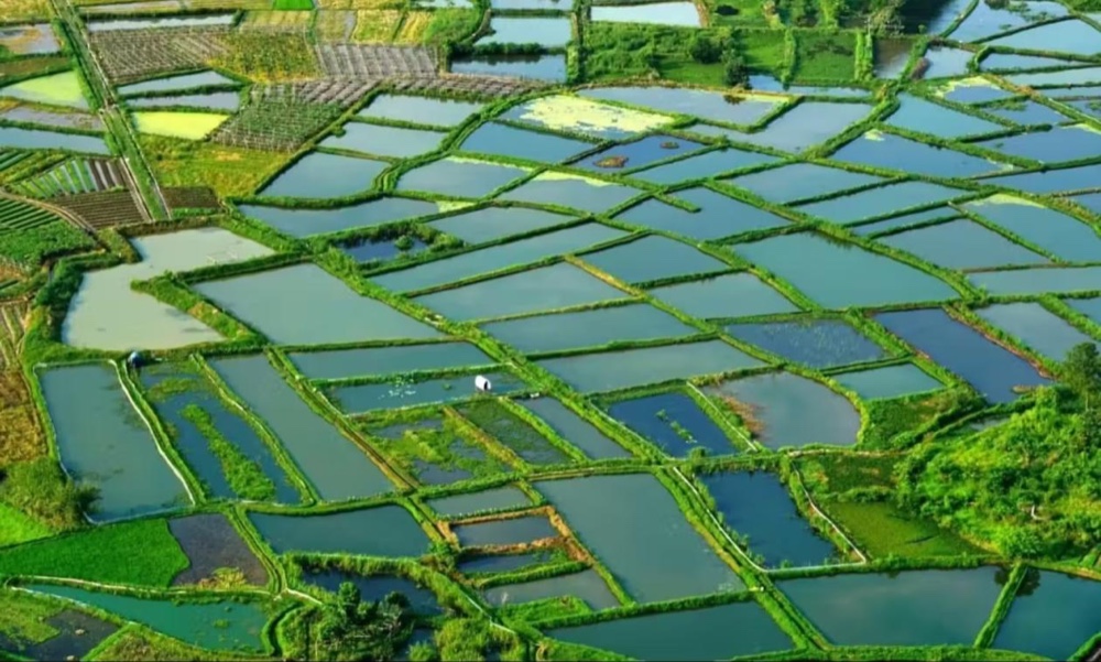 Huixian Glass Rice Paddy Countryside & Departure